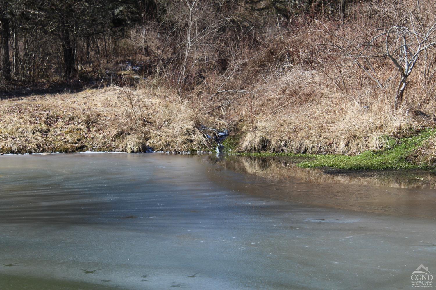 462 Dent Rd, Prattsville, New York image 9