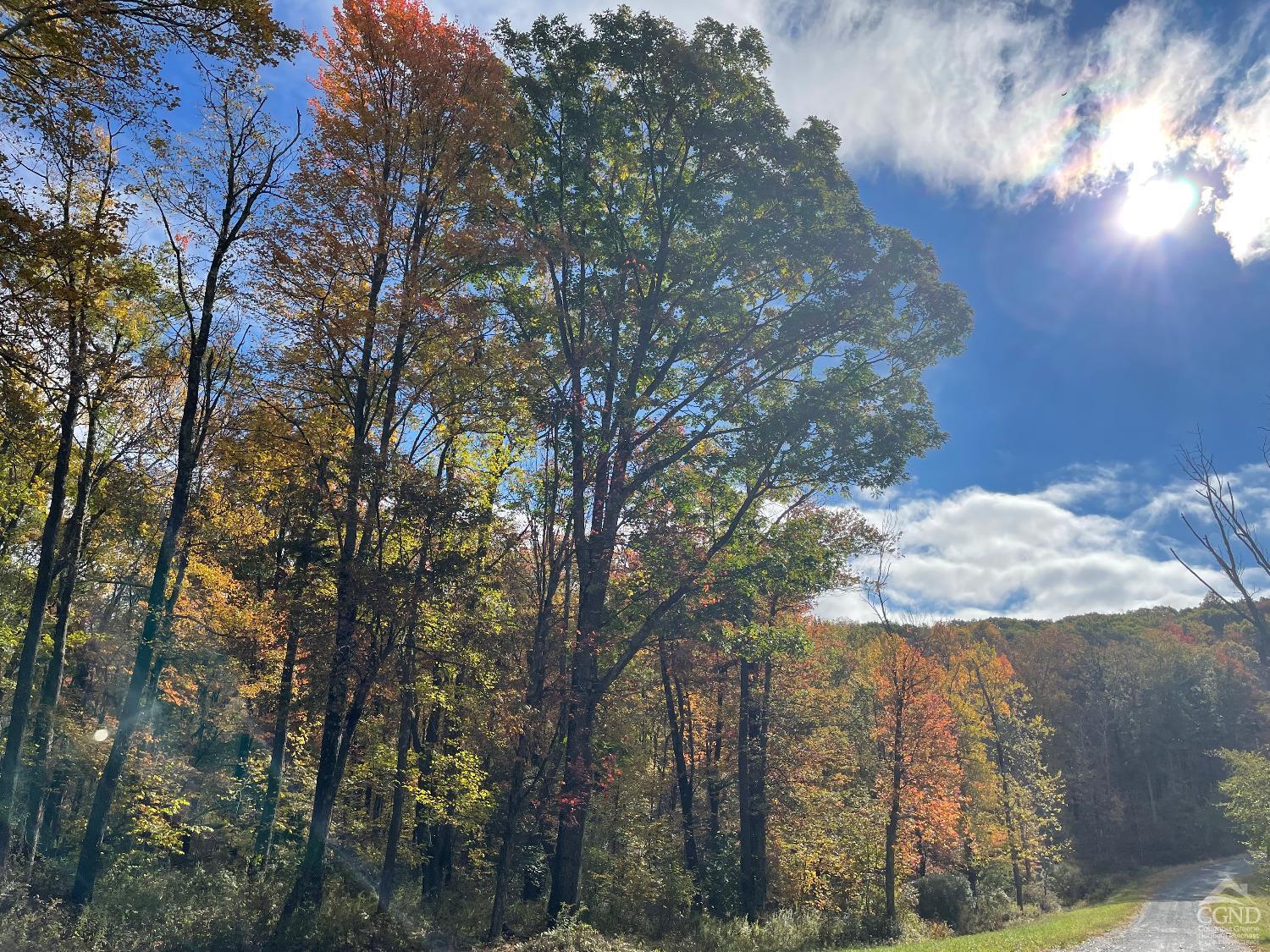 Fiddlehead Lane, Austerlitz, New York image 4