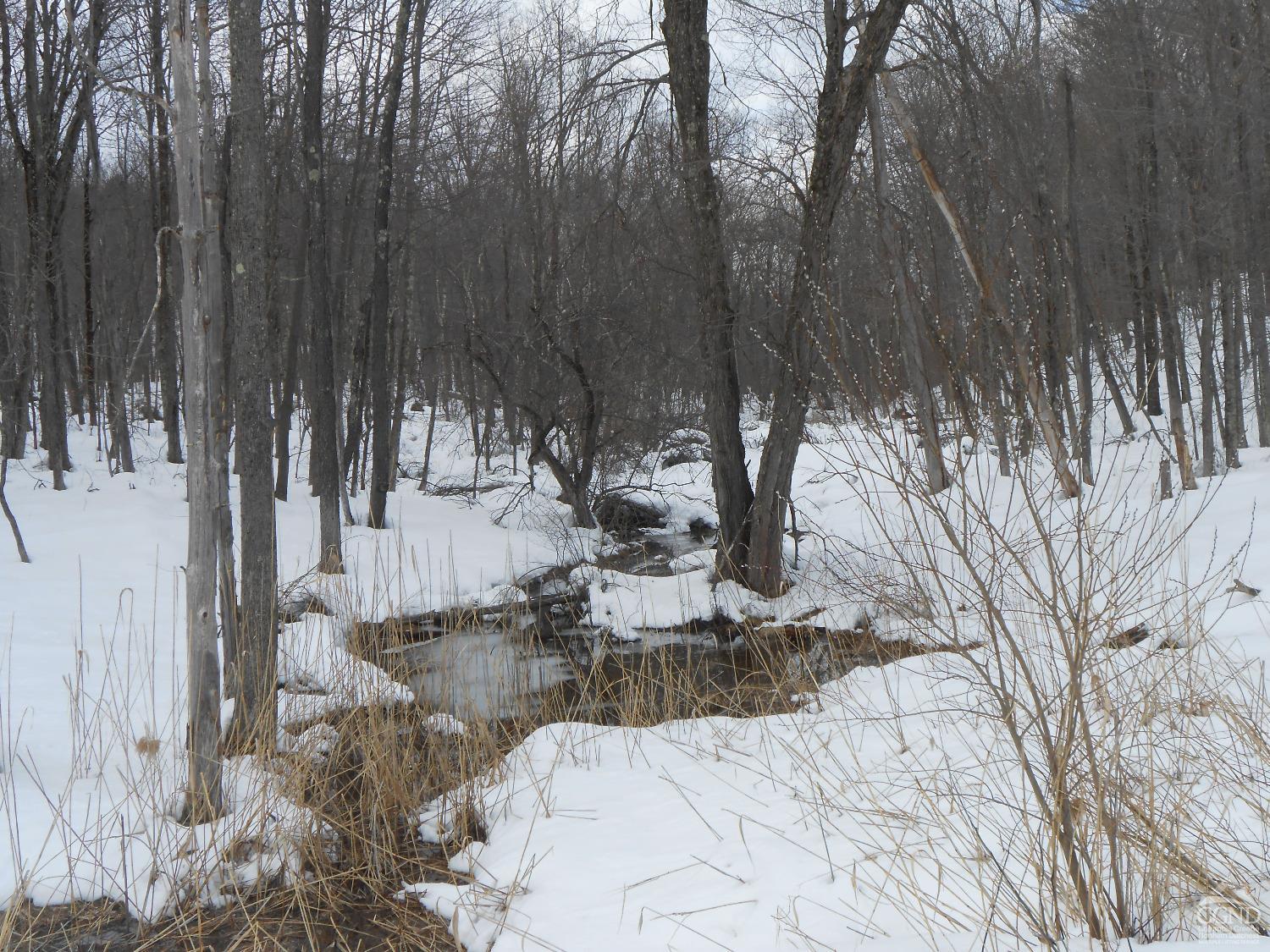 Fiddlehead Lane, Austerlitz, New York image 6