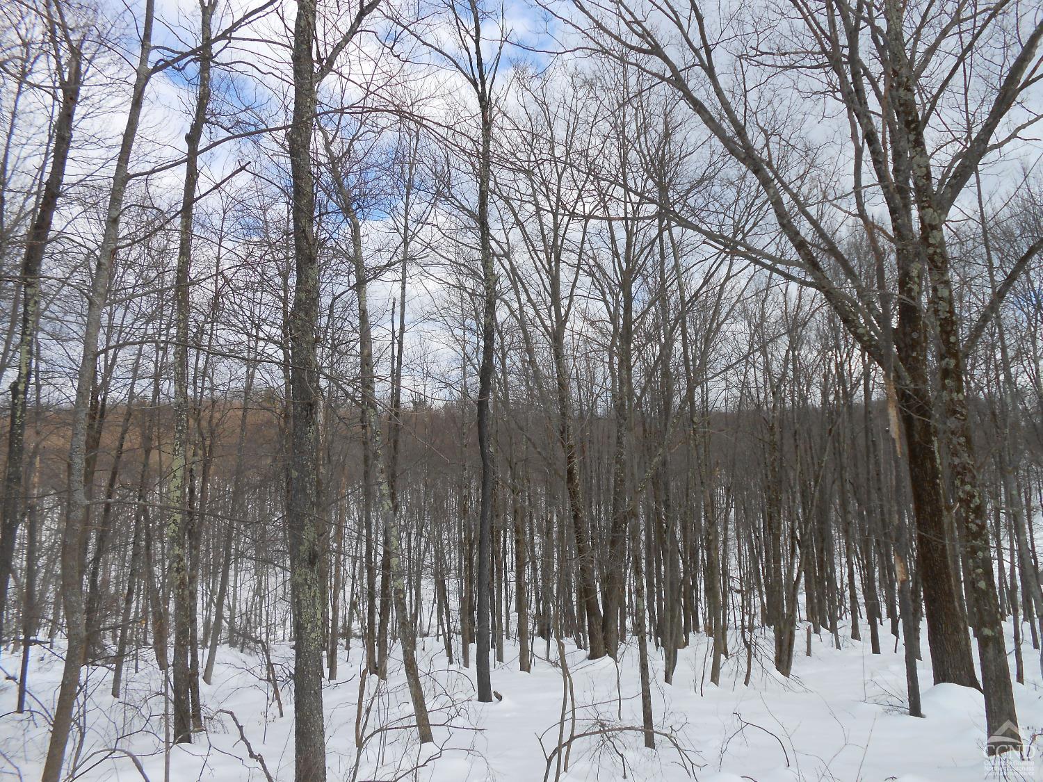 Fiddlehead Lane, Austerlitz, New York image 7