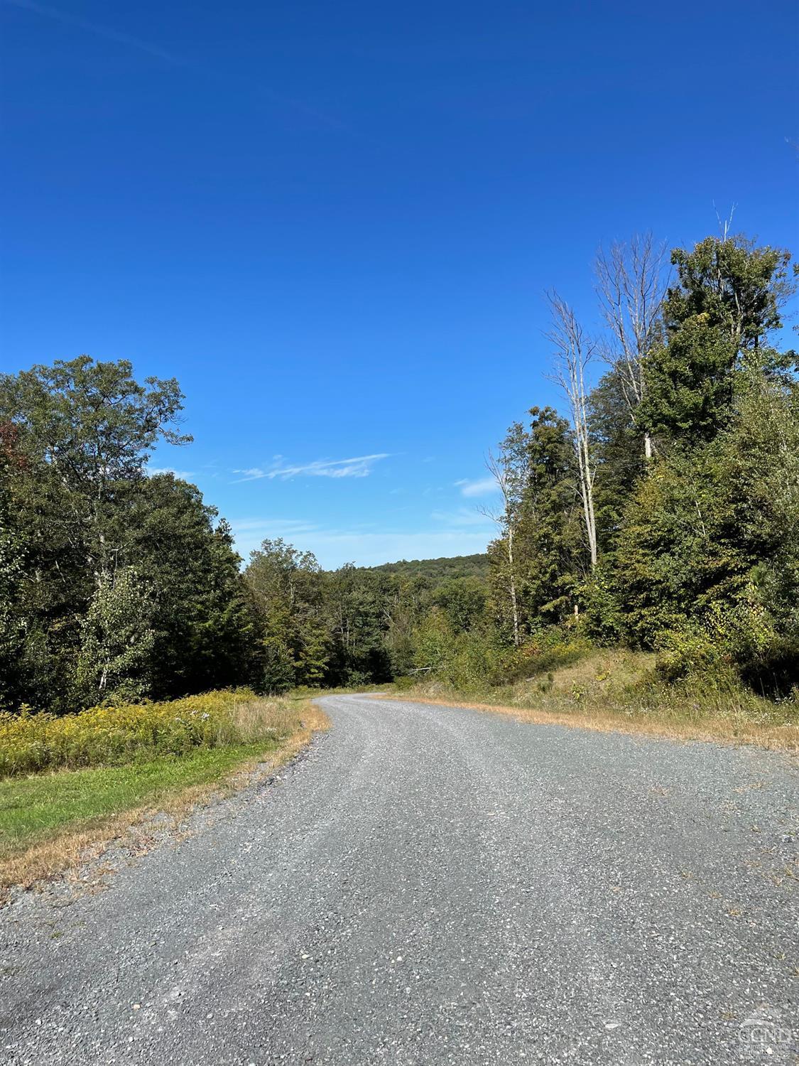 Fiddlehead Lane, Austerlitz, New York image 8