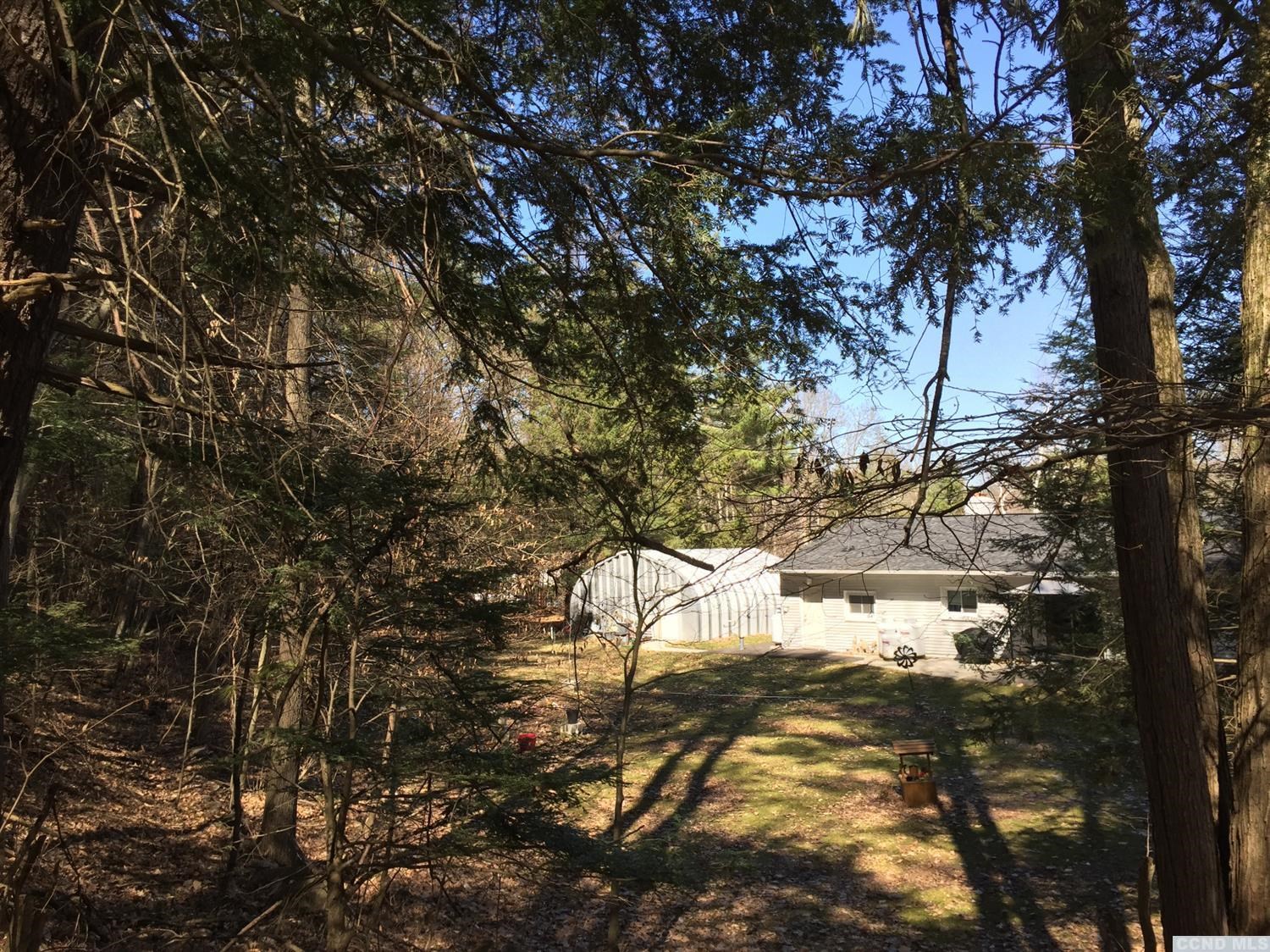 38 Clearwater Dr Dr, Cairo, New York image 26