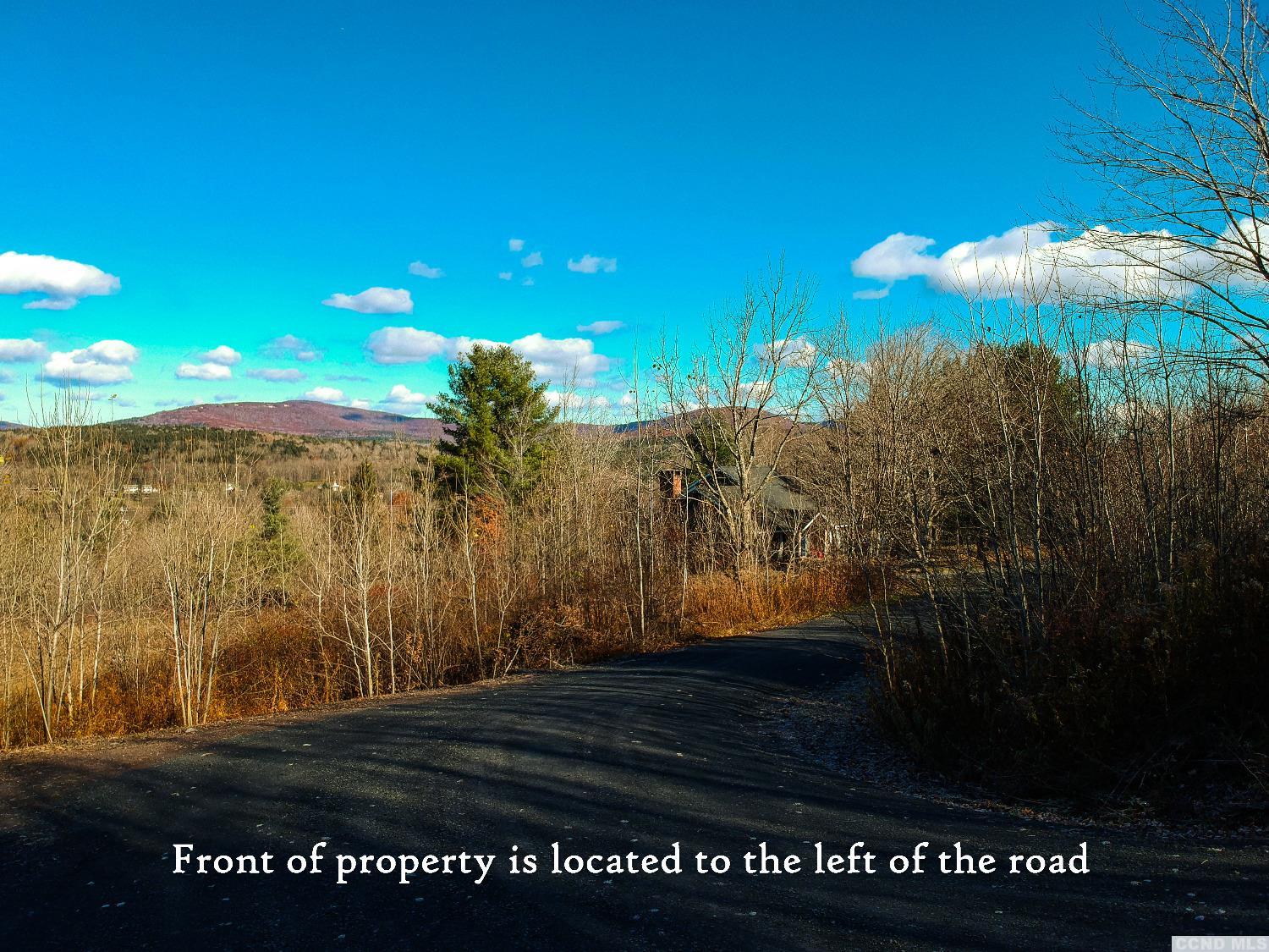 Panarama Lane, Windham, New York image 9