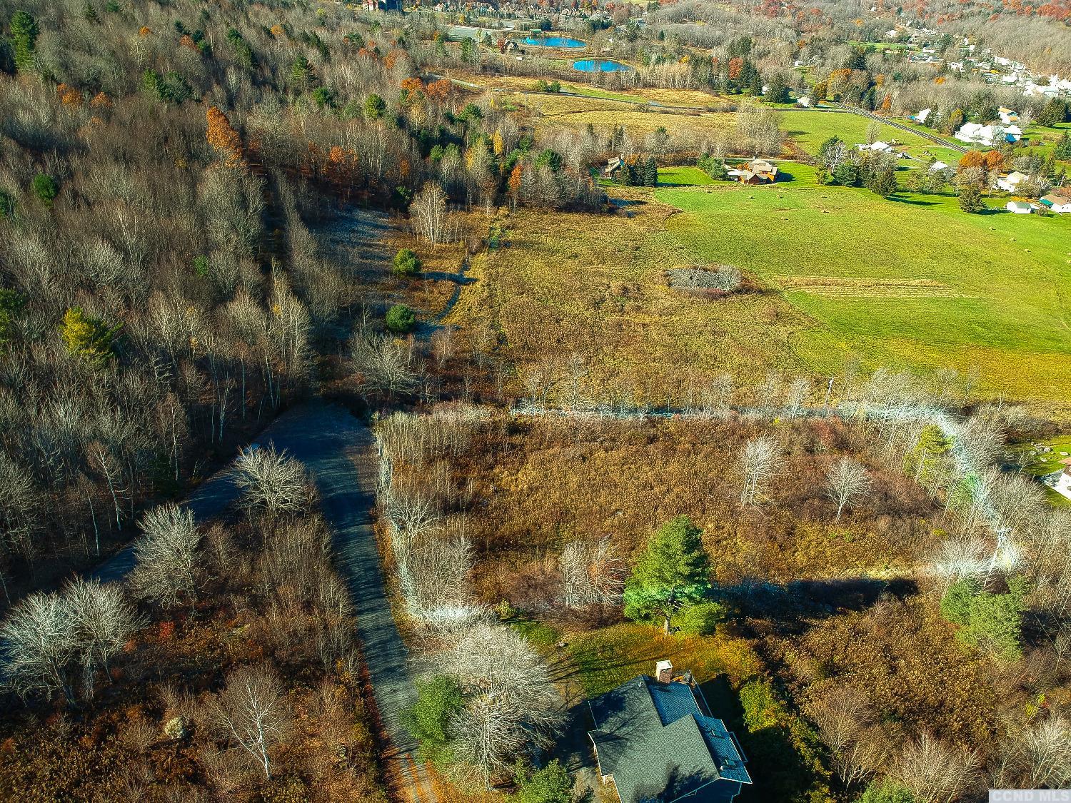 Panarama Lane, Windham, New York image 7