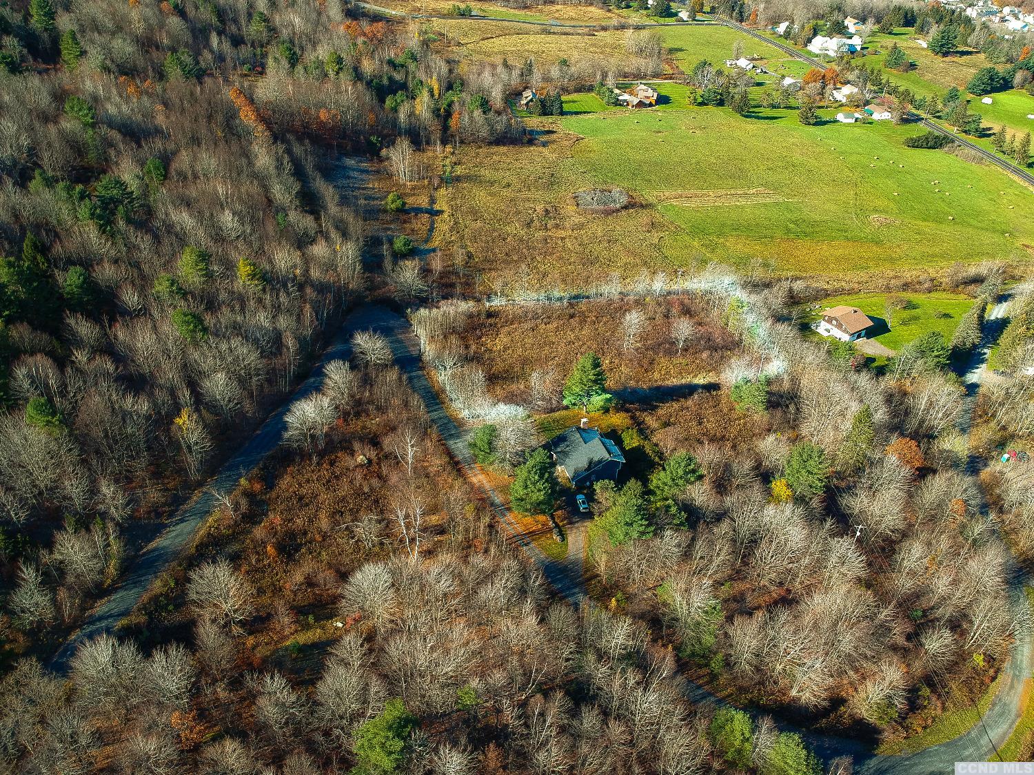 Panarama Lane, Windham, New York image 8