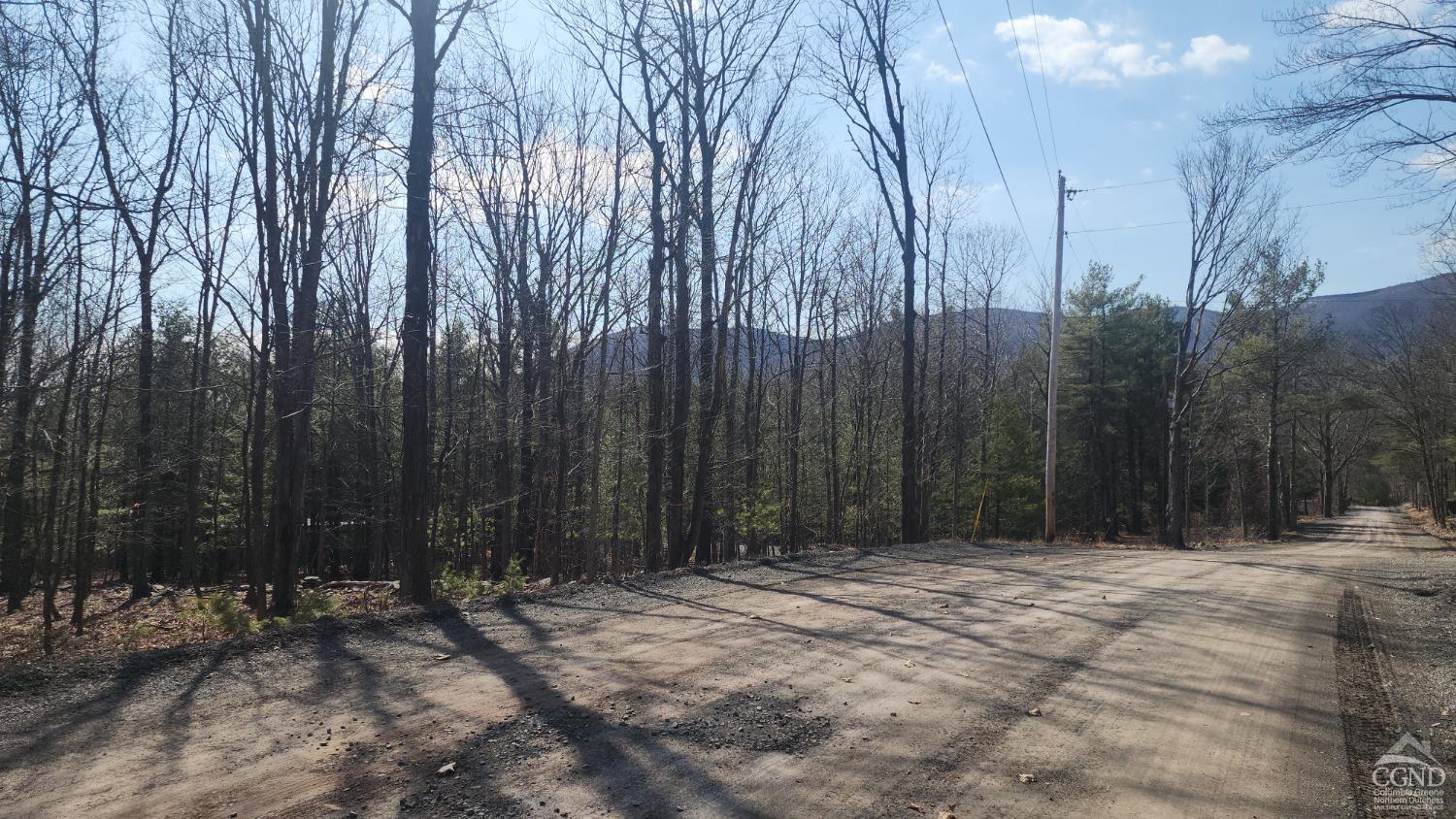 Old Tyler Road, Durham, New York image 7