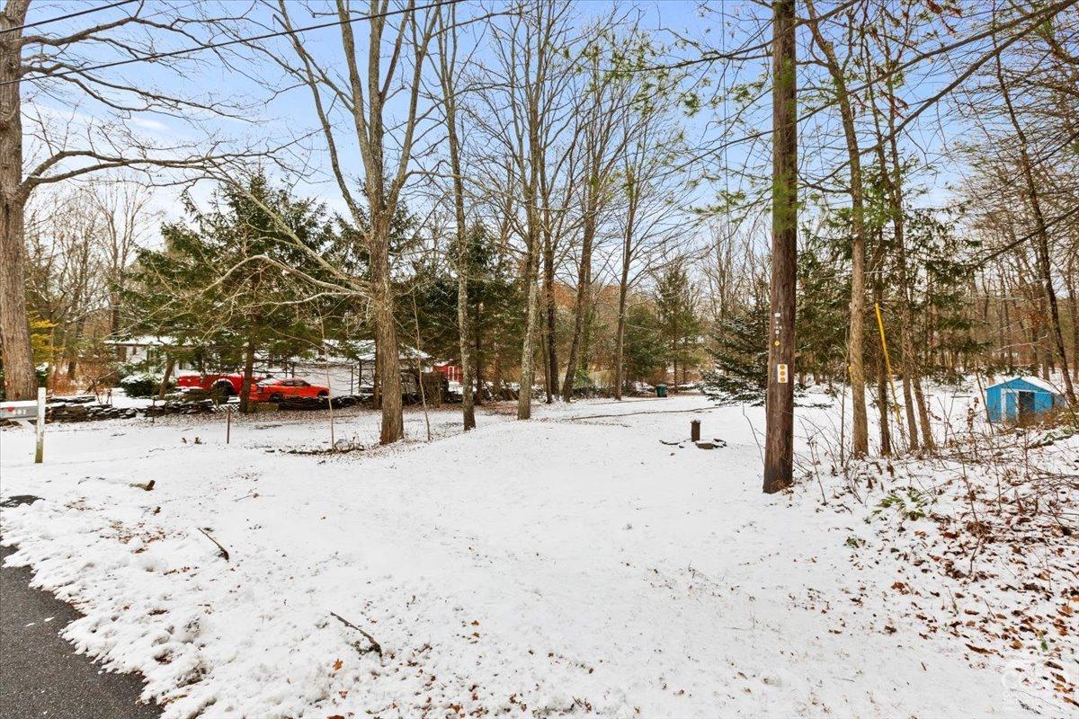 597 Ross Ruland Road, Cairo, Texas image 12