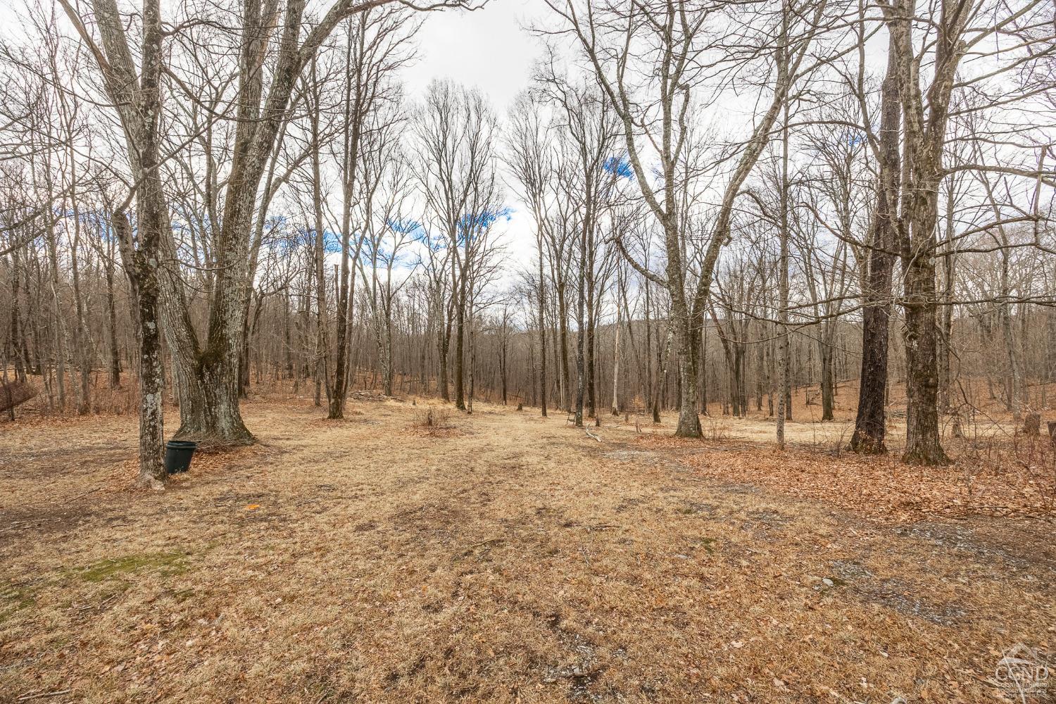 84 Cottontail Road, Ancram, New York image 25