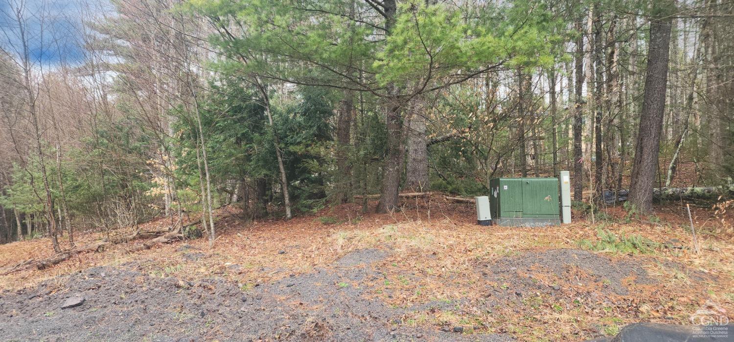 Property for Sale at Deer Valley Road, Jewett, New York -  - $79,500