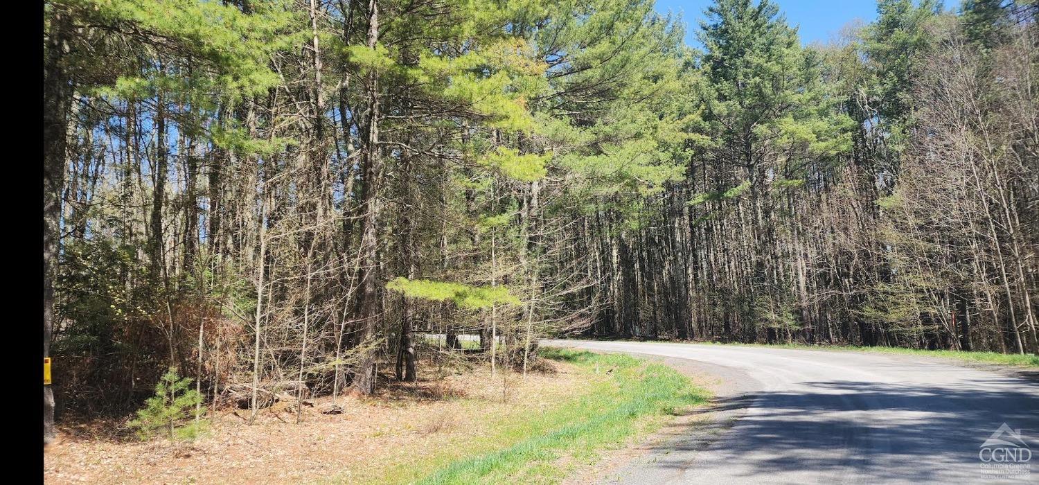 Deer Valley Road, Jewett, New York image 3