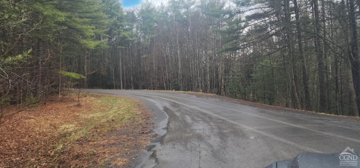Deer Valley Road, Jewett, New York image 3