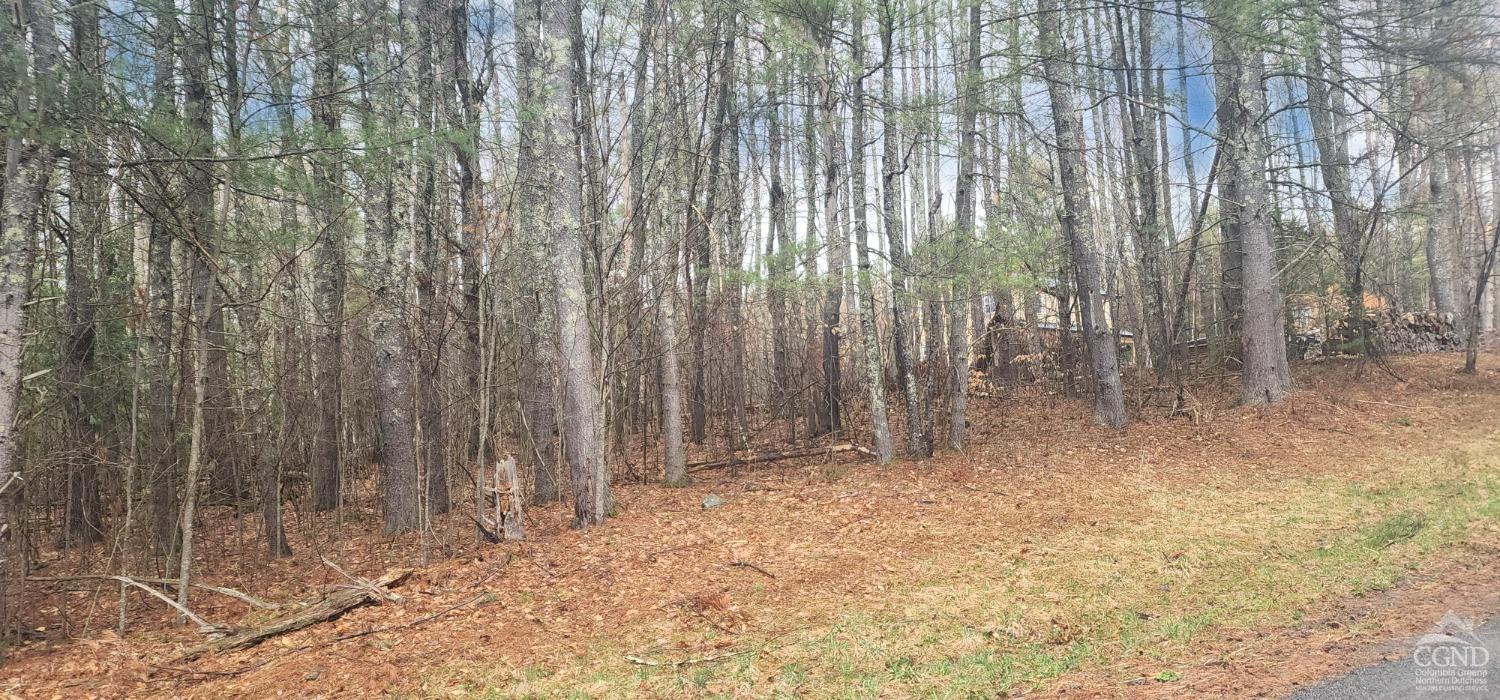 Deer Valley Road, Jewett, New York image 4