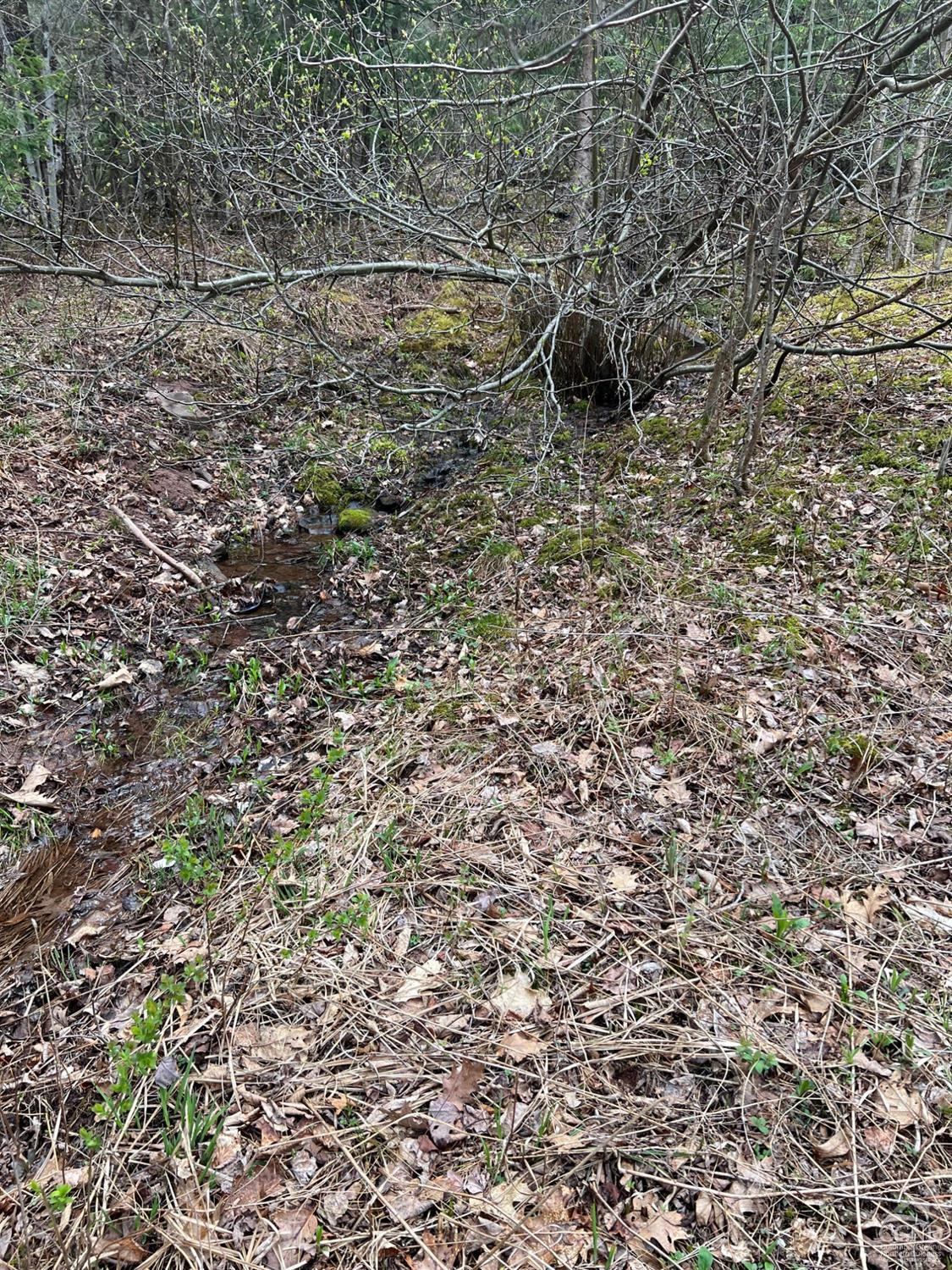 Pelham Lane, Windham, New York image 12