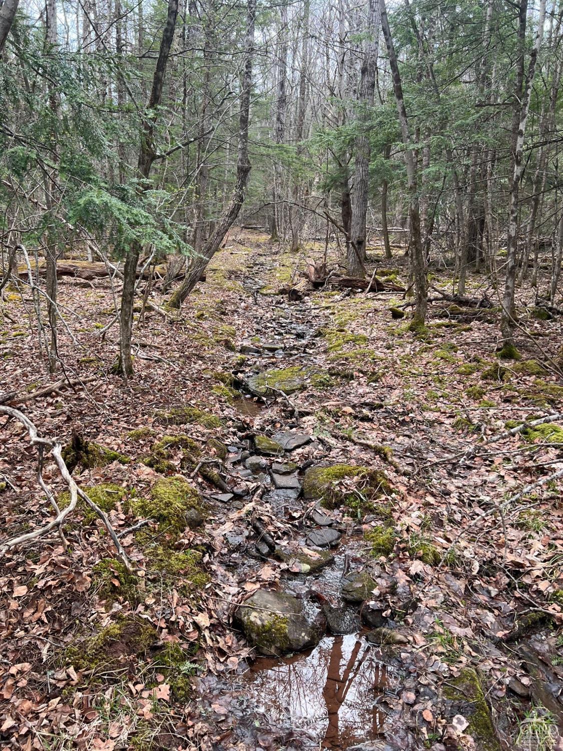 Pelham Lane, Windham, New York image 13