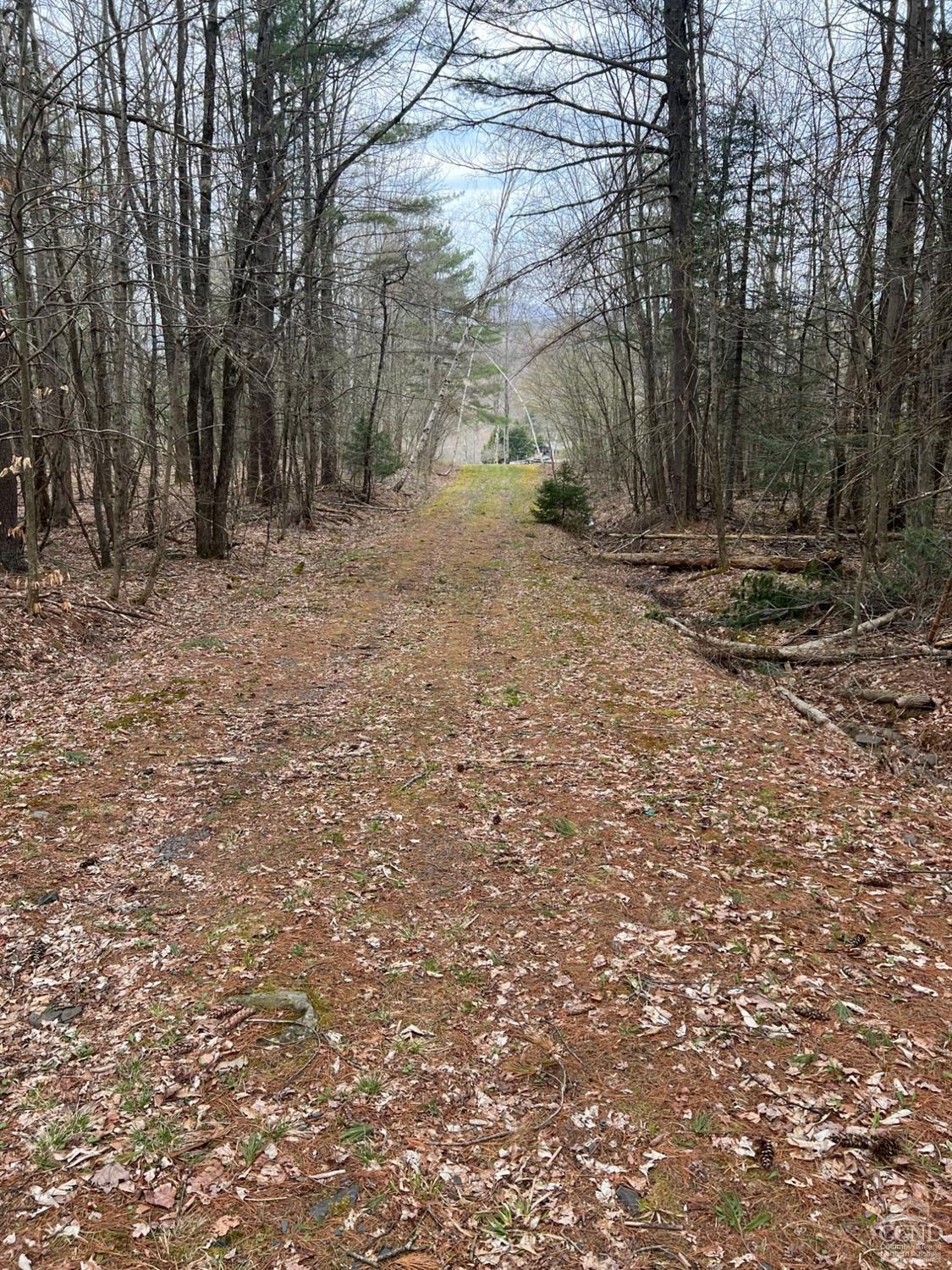 Pelham Lane, Windham, New York image 11