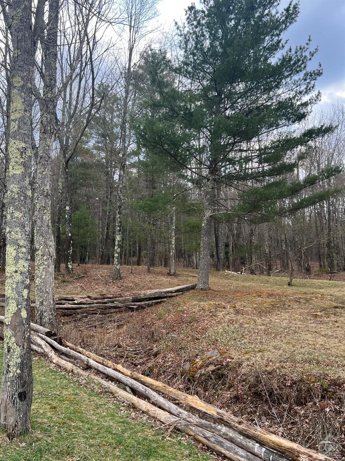 Pelham Lane, Windham, New York image 6