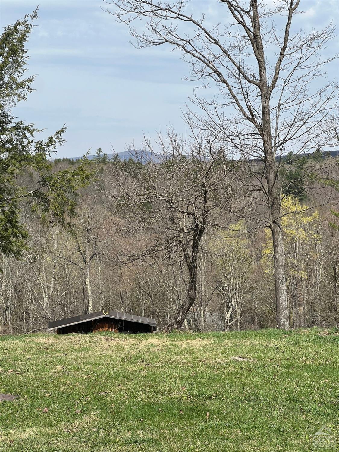 Pelham Lane, Windham, New York image 9