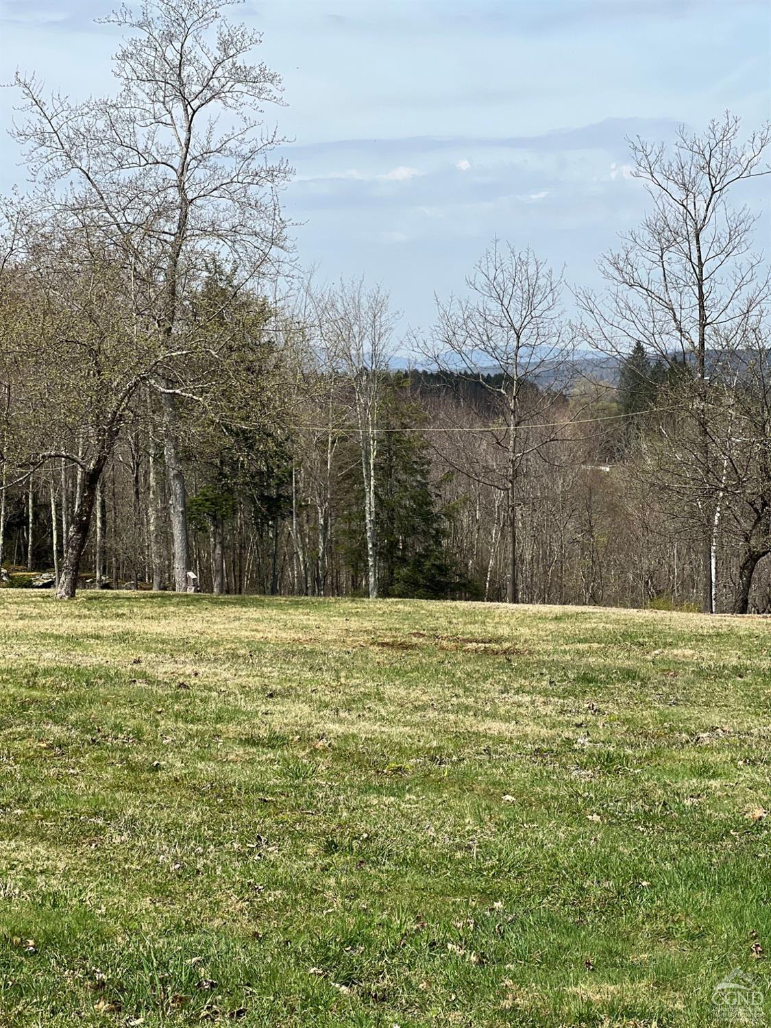 Pelham Lane, Windham, New York image 8