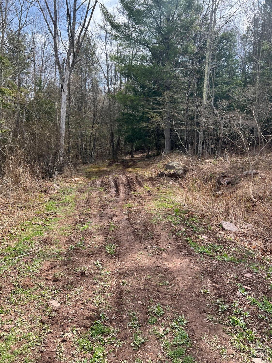 Pelham Lane, Windham, New York image 10