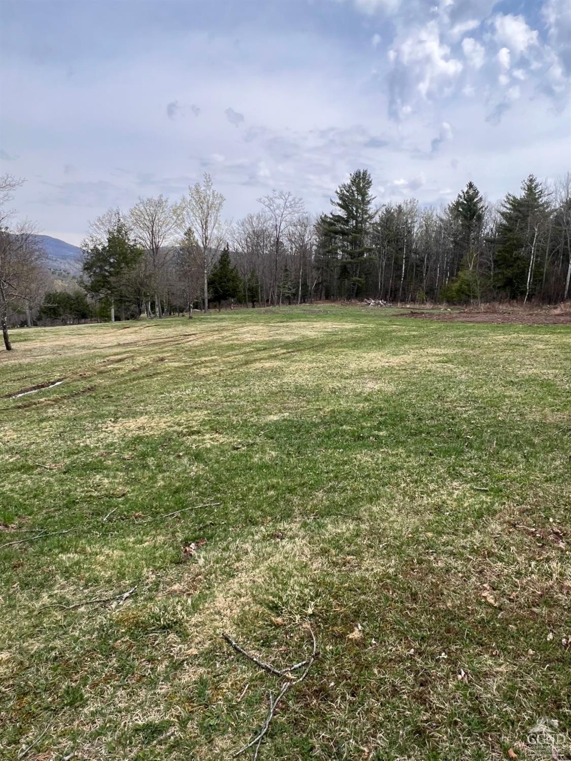 Pelham Lane, Windham, New York image 7