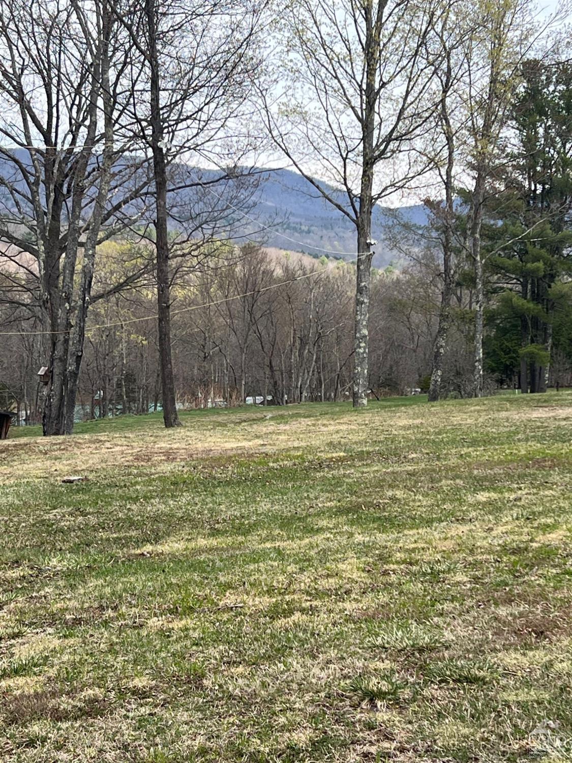 Pelham Lane, Windham, New York image 4