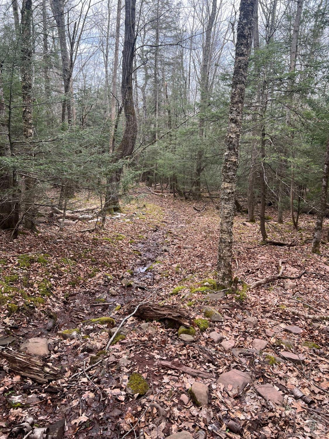 Pelham Lane, Windham, New York image 14