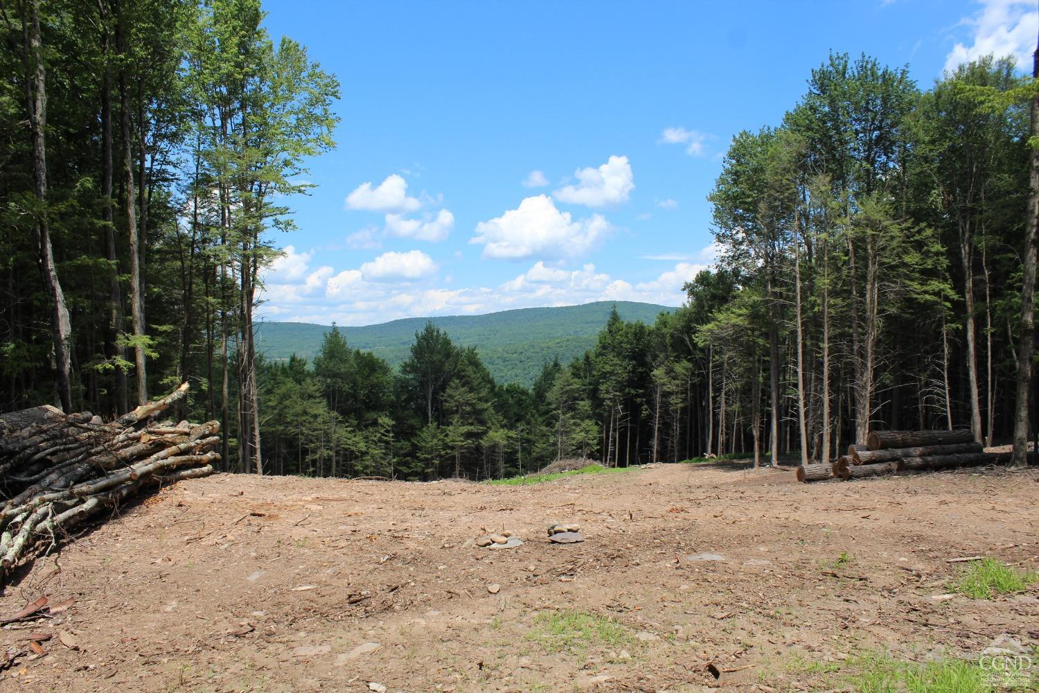 Terrace Drive, Prattsville, New York image 8