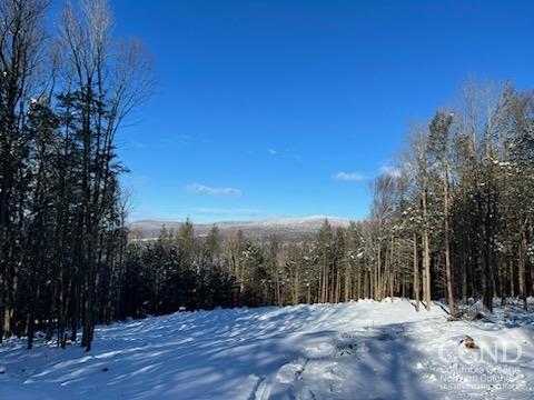 Terrace Drive, Prattsville, New York image 16