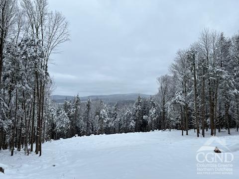 Terrace Drive, Prattsville, New York image 17