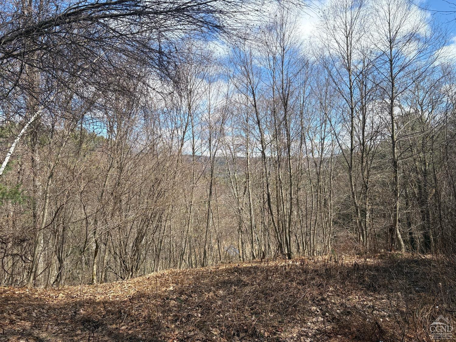 2320 Route 295, Canaan, New York image 7