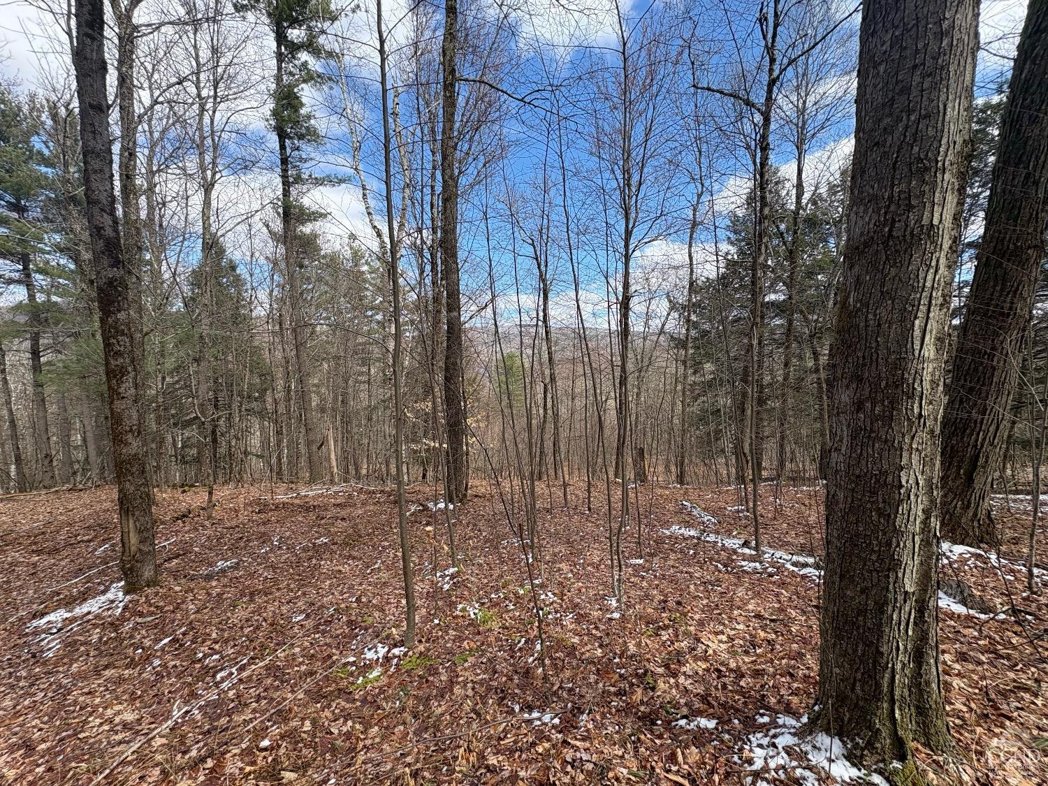 2320 Route 295, Canaan, New York image 11