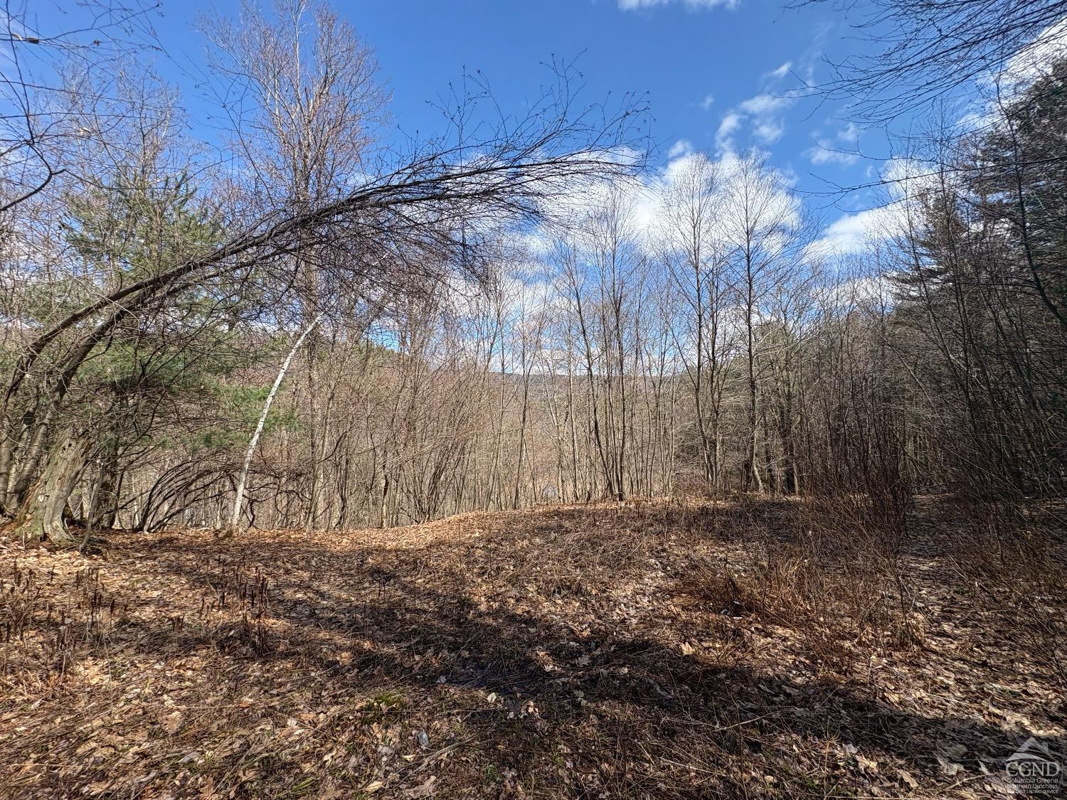 2320 Route 295, Canaan, New York image 3