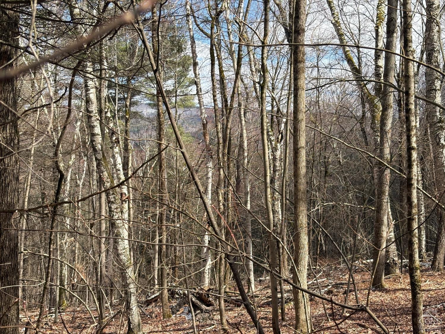 2320 Route 295, Canaan, New York image 12
