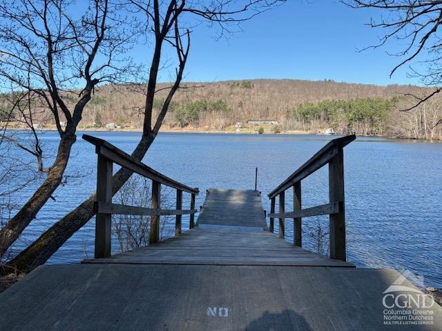 2320 Route 295, Canaan, New York image 6