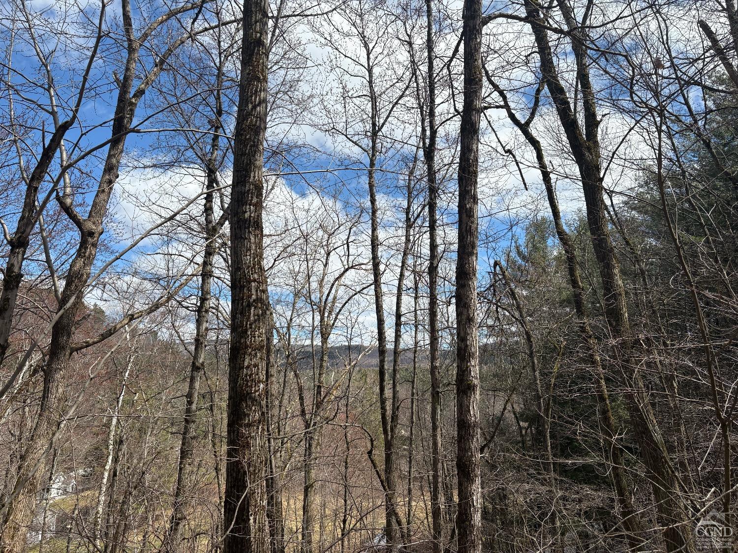2320 Route 295, Canaan, New York image 13