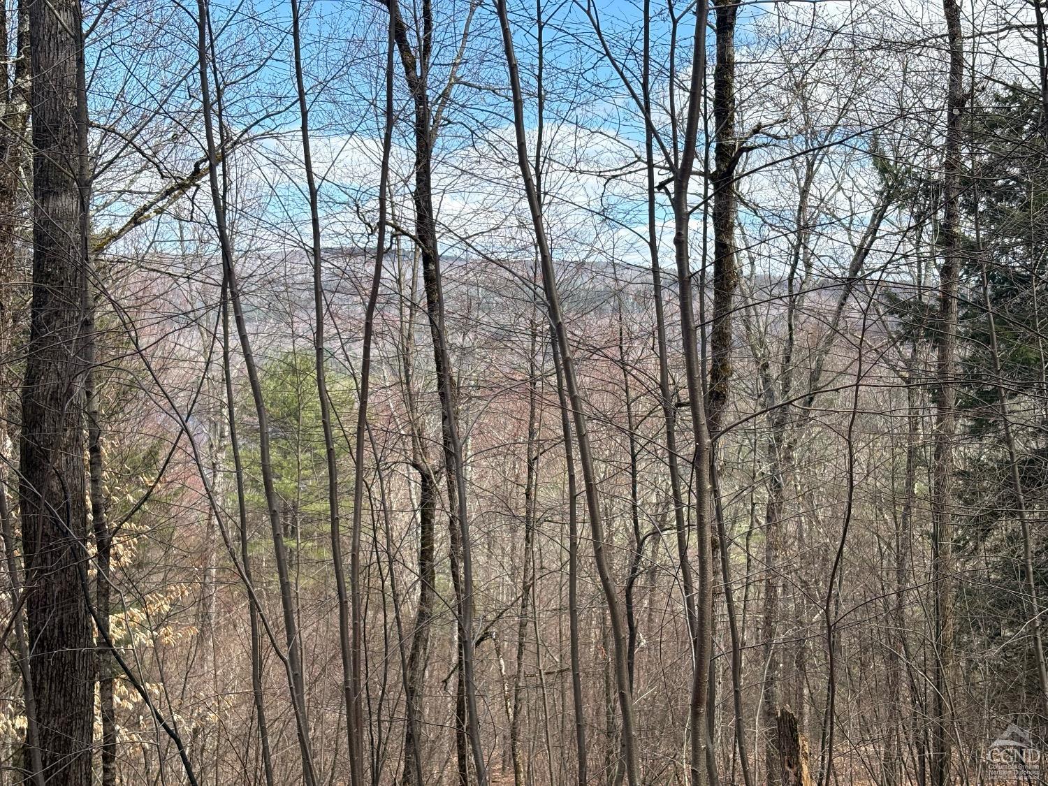 2320 Route 295, Canaan, New York image 2