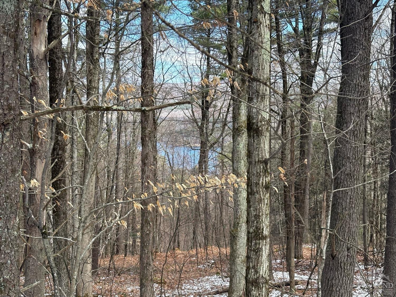 Property for Sale at 2320 Route 295, Canaan, New York -  - $99,000