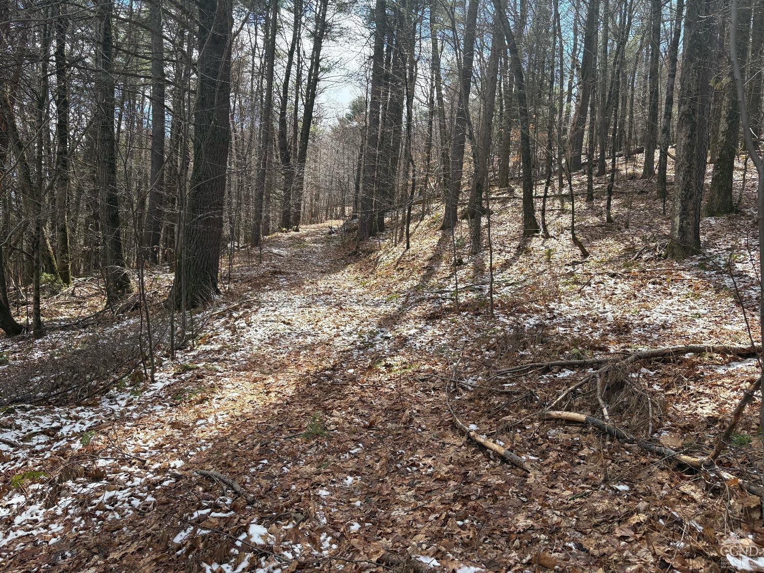 2320 Route 295, Canaan, New York image 14