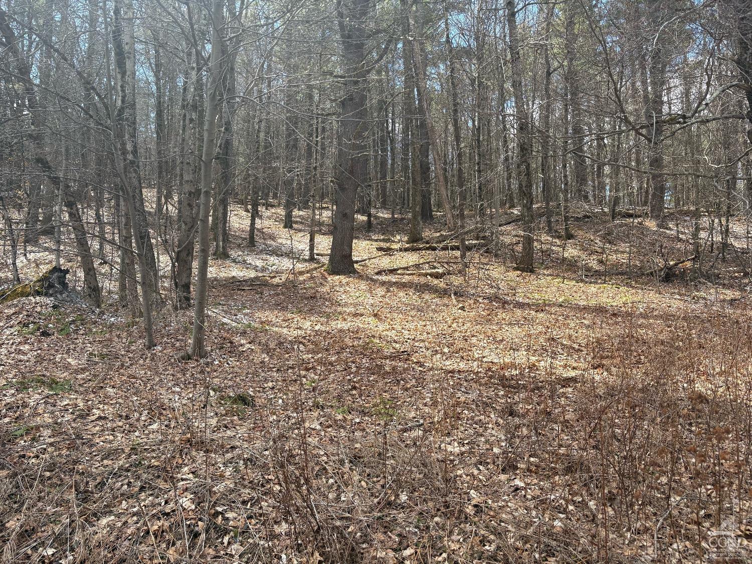 2320 Route 295, Canaan, New York image 15