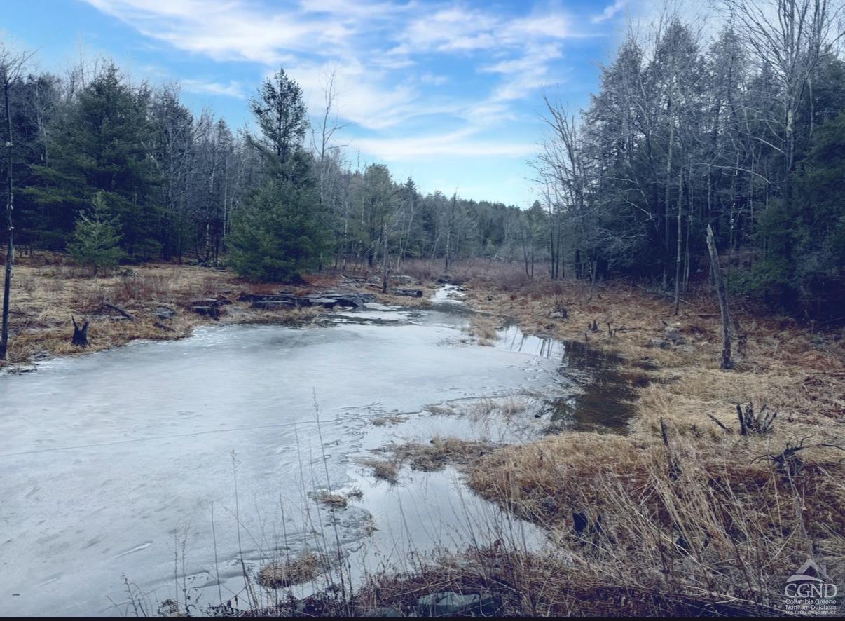 Ford Hill Road, Jewett, New York image 3
