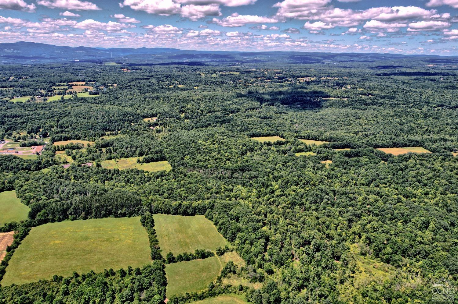 171 Country Estates Road, Greenville, New York image 9