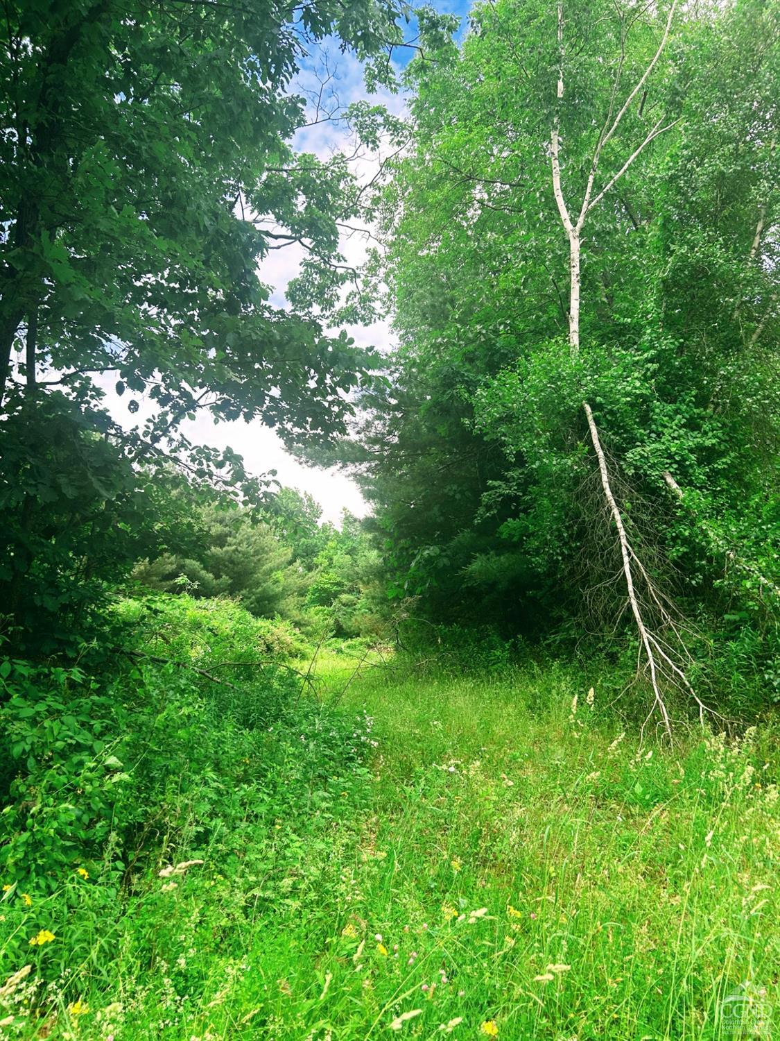 I-90 & Route 5, Canaan, New York image 5