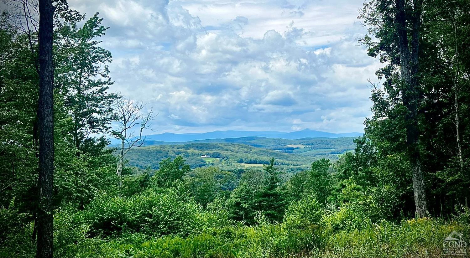 Route 82, Ancramdale, New York image 1