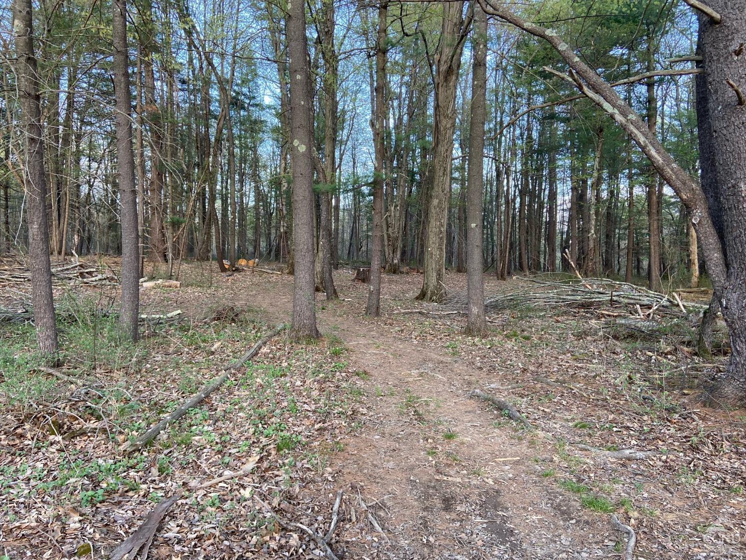 316 Sunset Road, Greenville, New York image 26