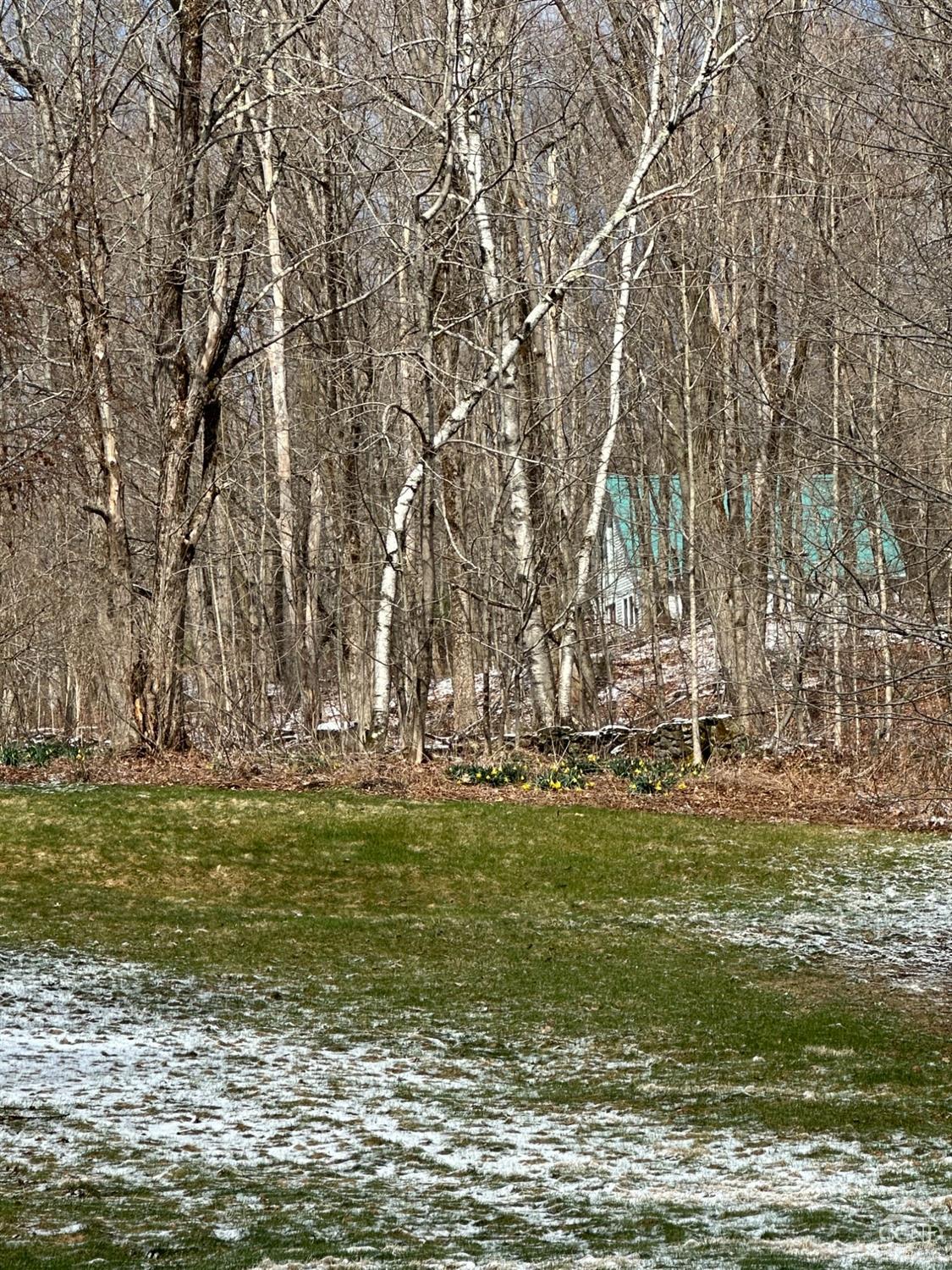 477 Fog Hill Road, Austerlitz, New York image 13