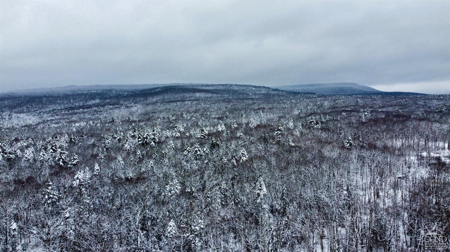 North Lake Road, Hunter, New York image 15