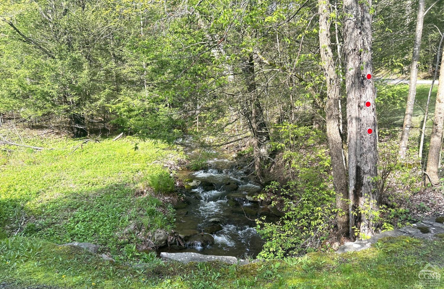 169 Rt. 4, Prattsville, New York image 12