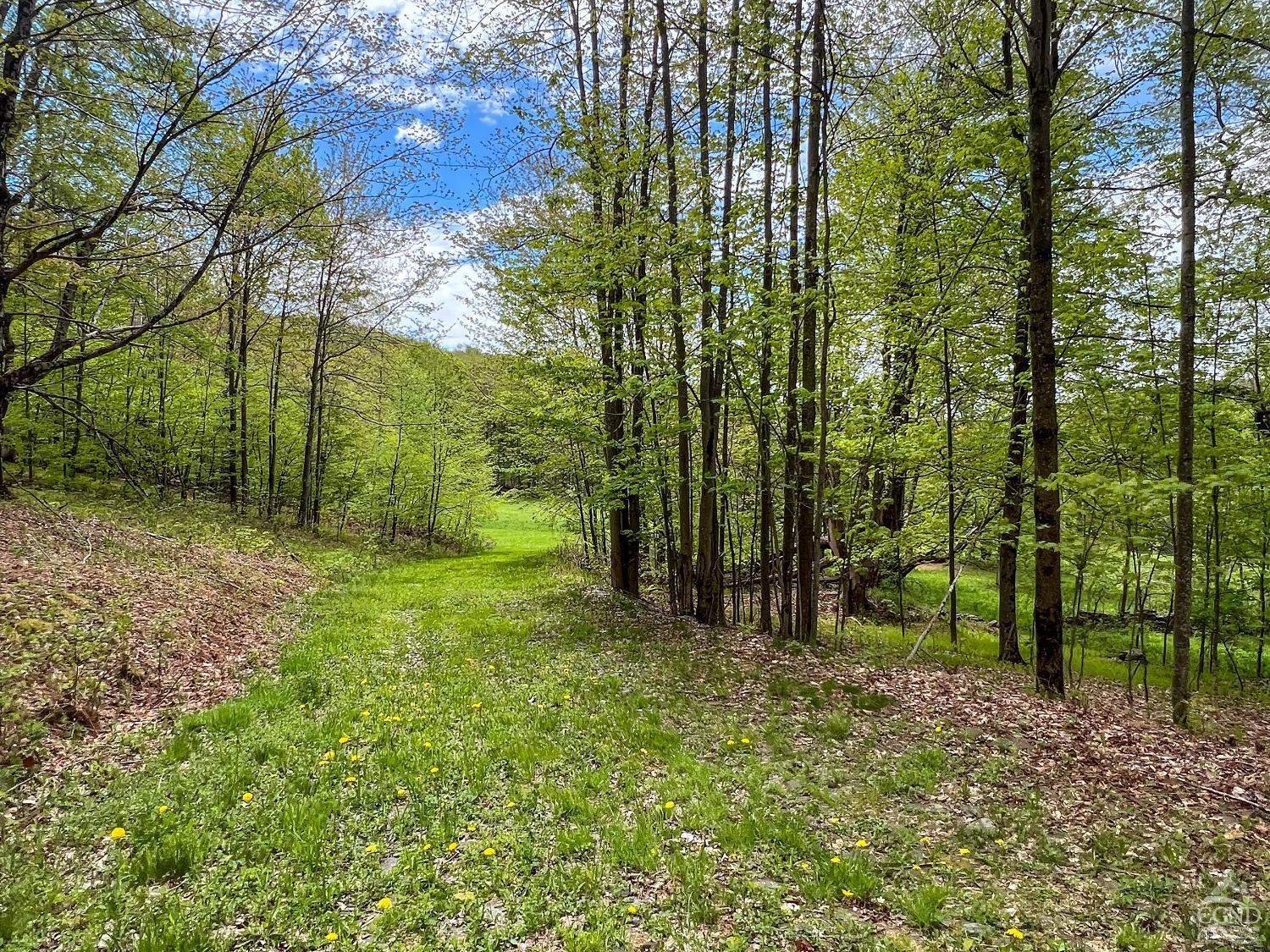 State Highway 28, Andes, New York image 30