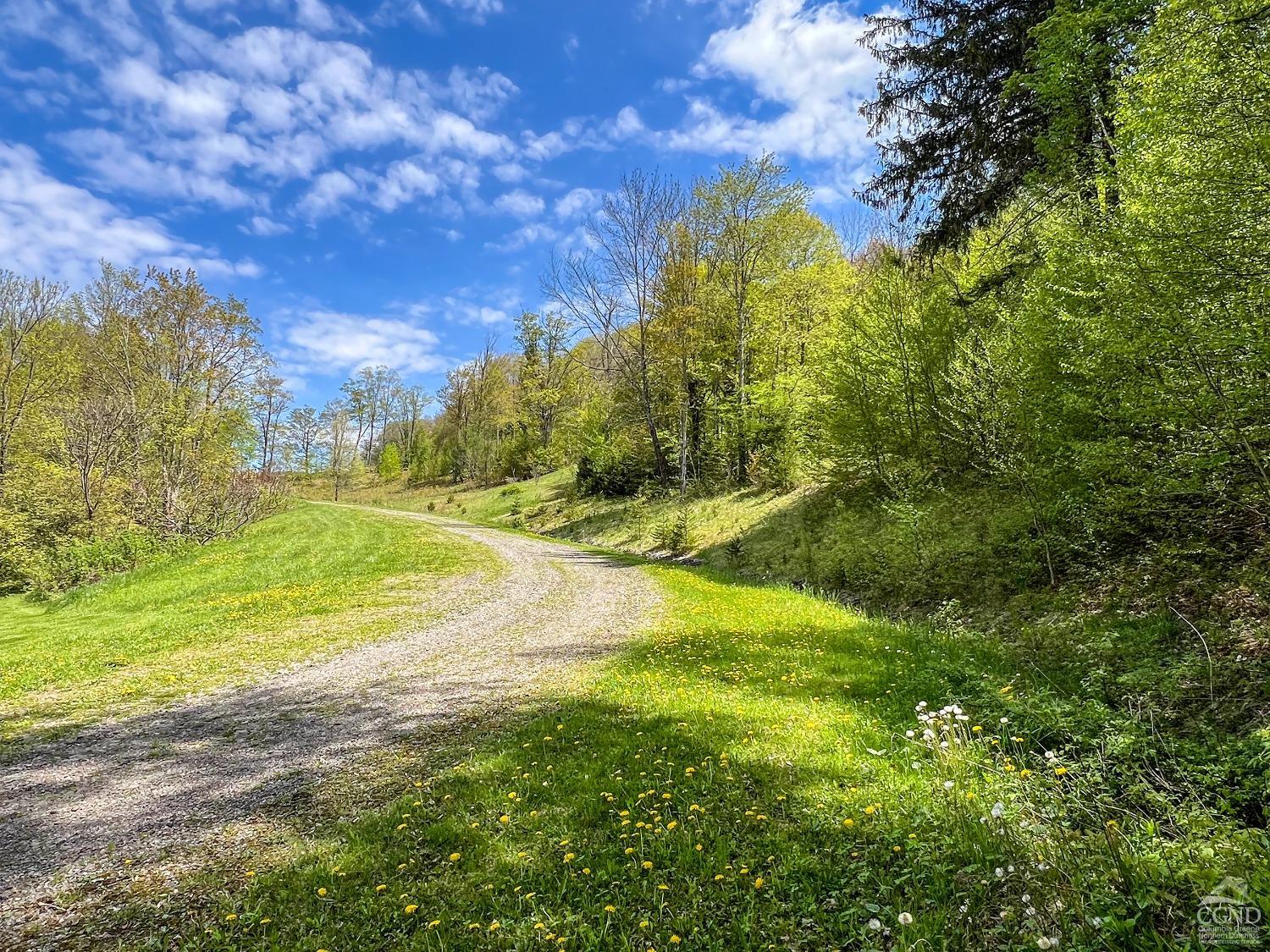 State Highway 28, Andes, New York image 4