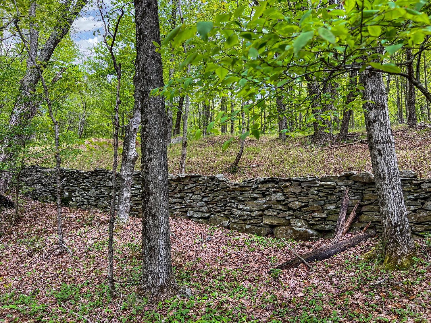 State Highway 28, Andes, New York image 33